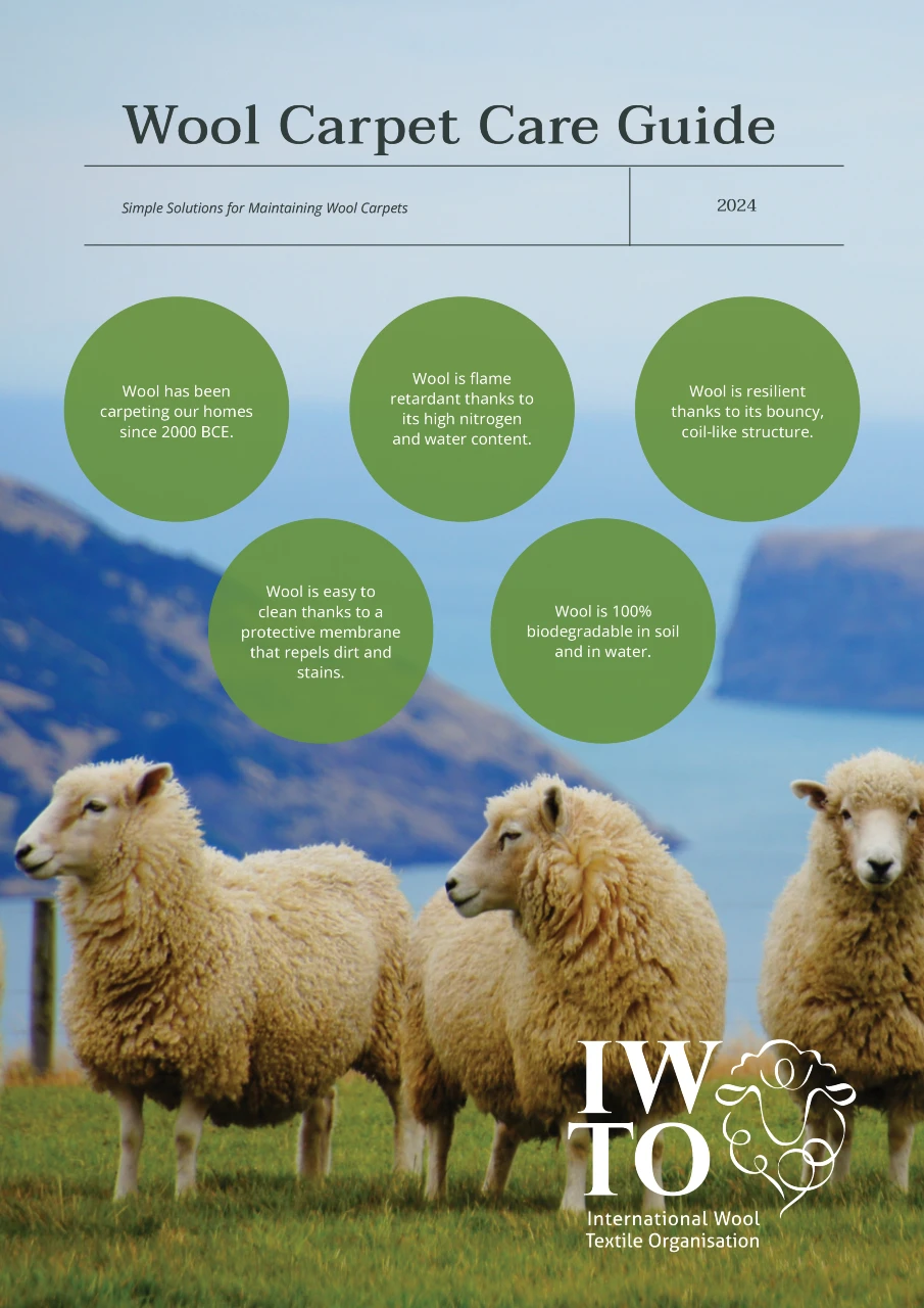 Wool Carpet Care and Maintenance Guide – Cover 2024